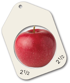 Apple sizers